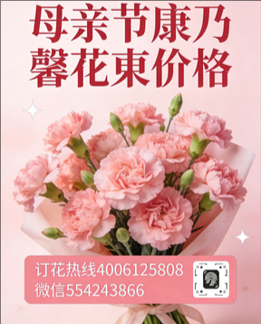 抚州崇仁县花店母亲节康乃馨花束